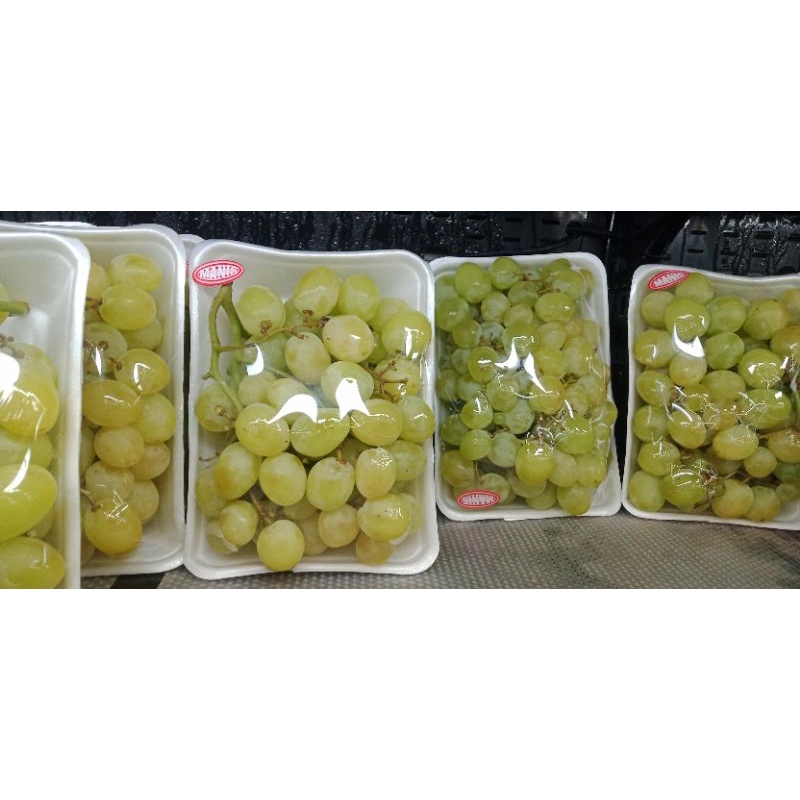 

anggur great green 1pack