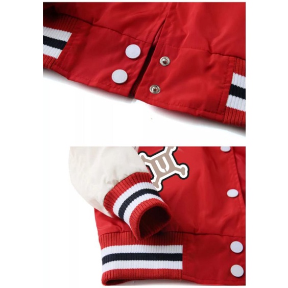 Varsity Waterproof Baseball jacket Bordir A218- X URBAND ABSOLUTE | Jaket baseball pria jaket baseball wanita Jaket varsity pria Jaket varsity wanita Varsity jacket pria jacket wanita jaket pria jaket wanita jaket coach pria coach jacket-3