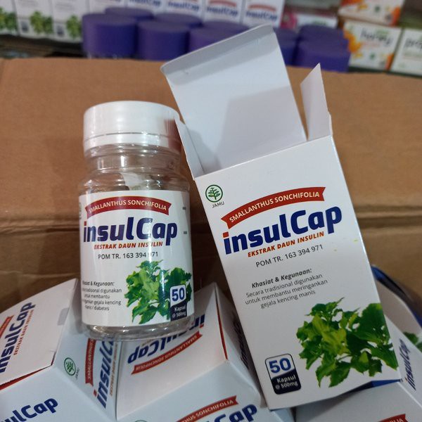 Insulcap Herbal Ampuh Untuk Penderita Diabetes dan Kencing Manis 50 Kapsul