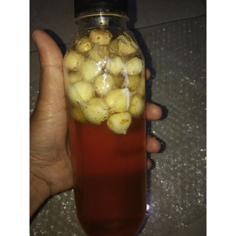 

madu bawang lanang