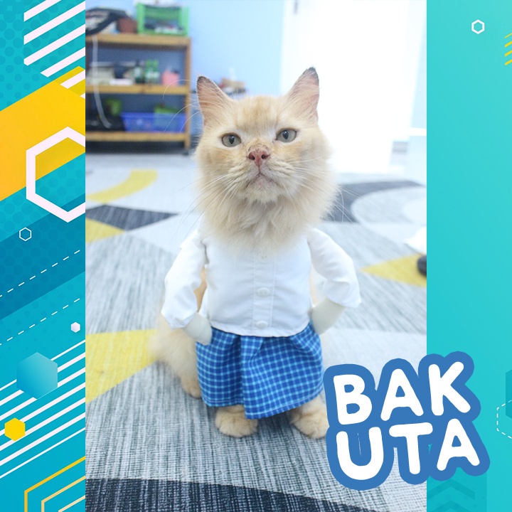 Kostum baju koko sarung kotak-kotak biru + Peci / baju koko kucing lebaran Terbaru size S-XL