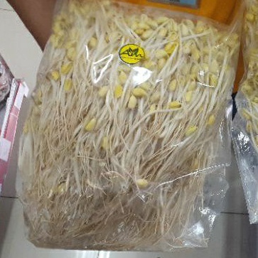 

Kongnamul Tauge Korea (Soybean Sprout)