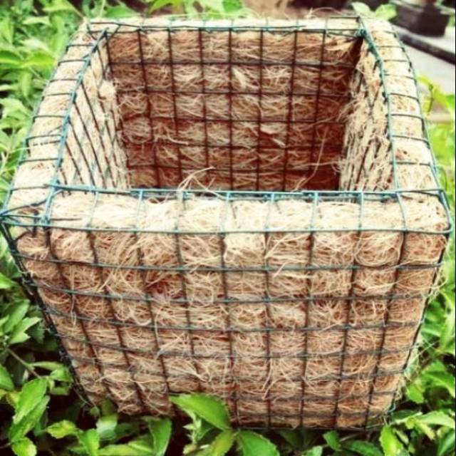 Pot sabut kelapa kotak, pot tanaman, por anggrek, pot tanaman hias anggrek tanam