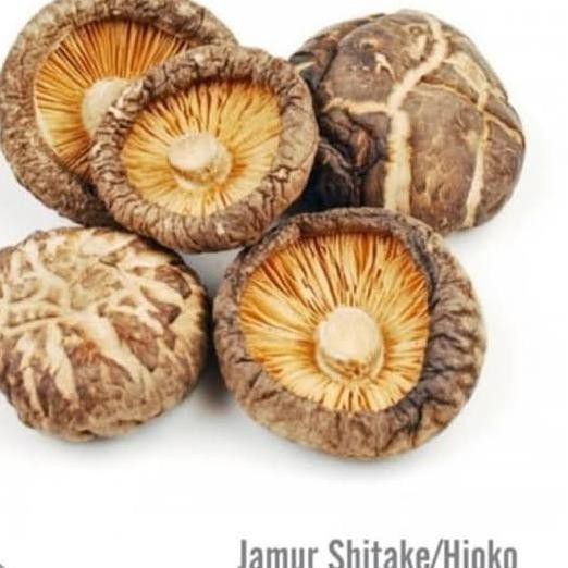 

TERMURAH Jamur Shitake Kering 250gr Hioko Dried Mushroom / Shiitake Hioko Kode 490