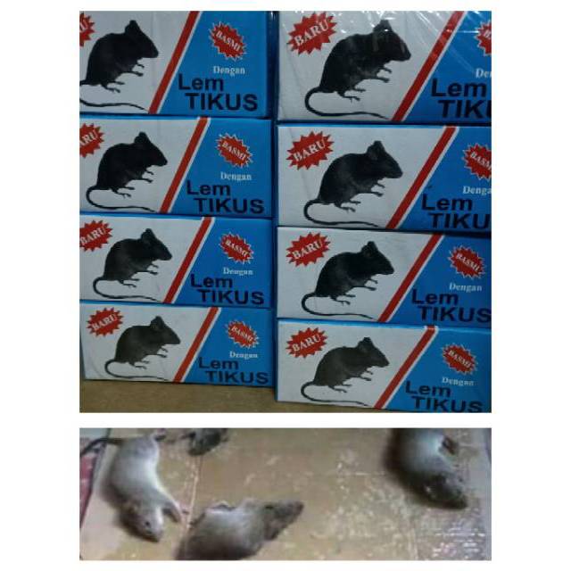 LEM PERANGKAP TIKUS KEMASAN BOTOL ISI 12 PCS(1LUSIN)