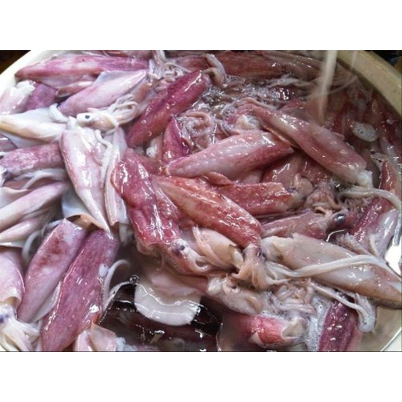 

Cumi Segar