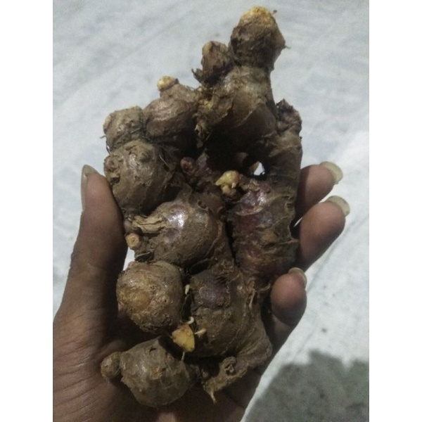 

JAHE MERAH