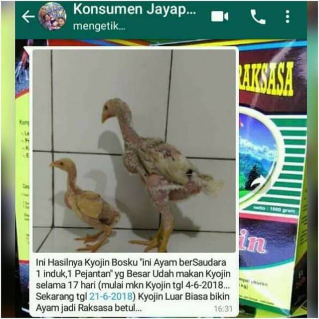 Kyojin Pakan Raksasa