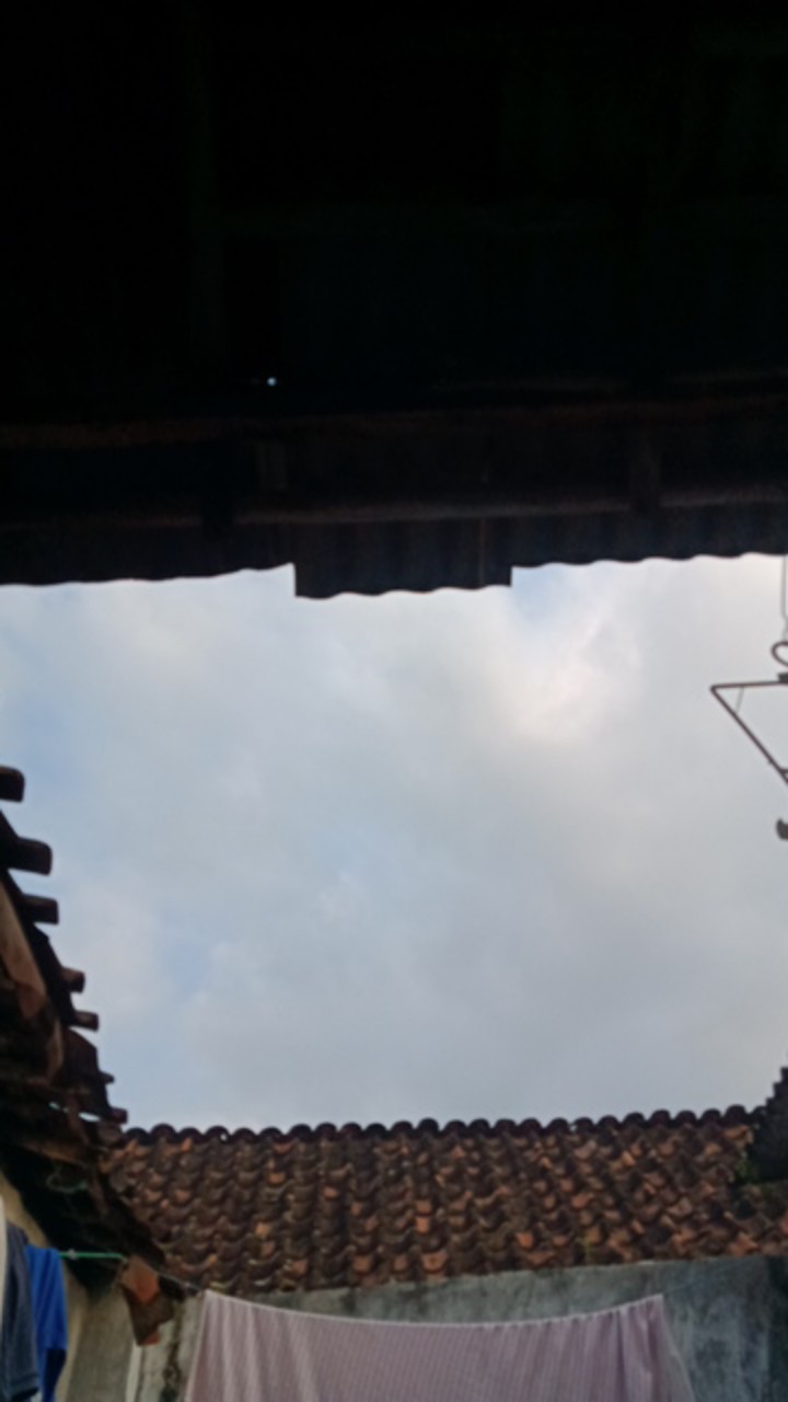 Real Pict Kemeja  Batik Pria Bordir Sogan Hrb026 Batikaf Notoarto Batik Ipnu-ippnu Hem Pria