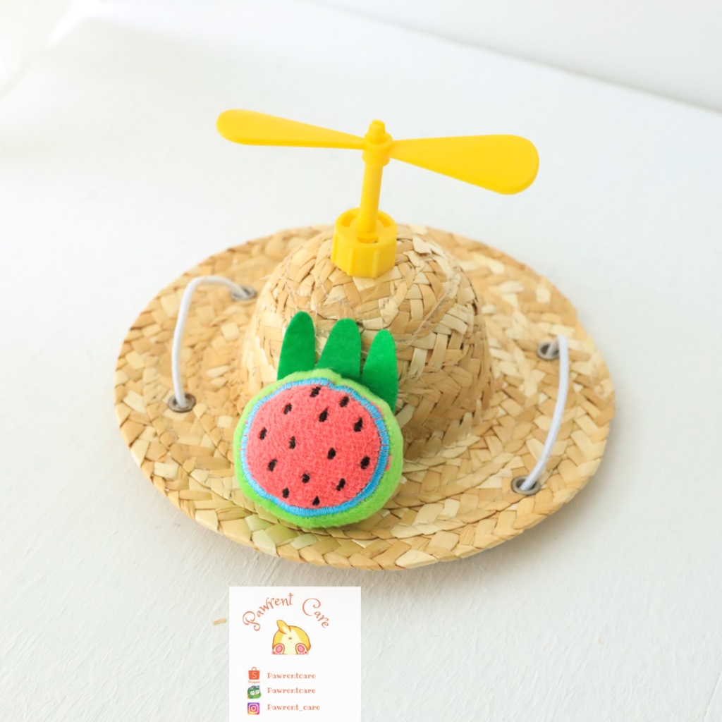 Topi Kucing/Topi Anjing/Topi Kelinci/Pet Accesories/Topi Hewan/Pet Hat/Topi jerami/Fruit with Bamboo