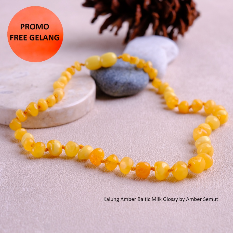 PROMO FREE GELANG - Kalung Amber Baltic Milk Glossy by AMBER SEMUT