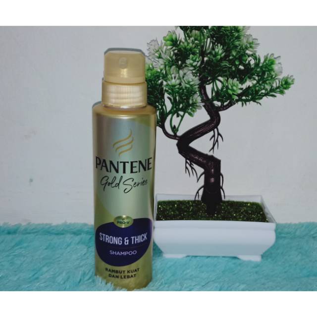 Pantene Gold Series 270ml