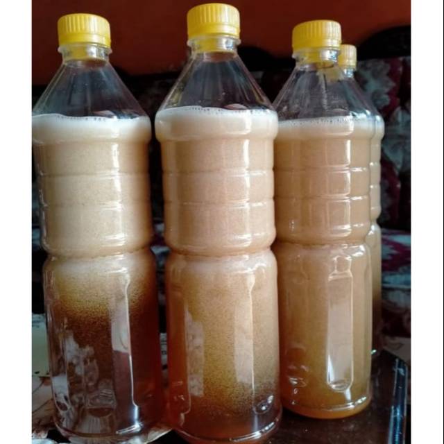 

Madu Hutan Banyuwangi