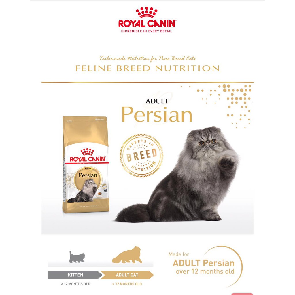 Royal Canin Persian Adult 4kg Makanan Kucing Persia Dewasa