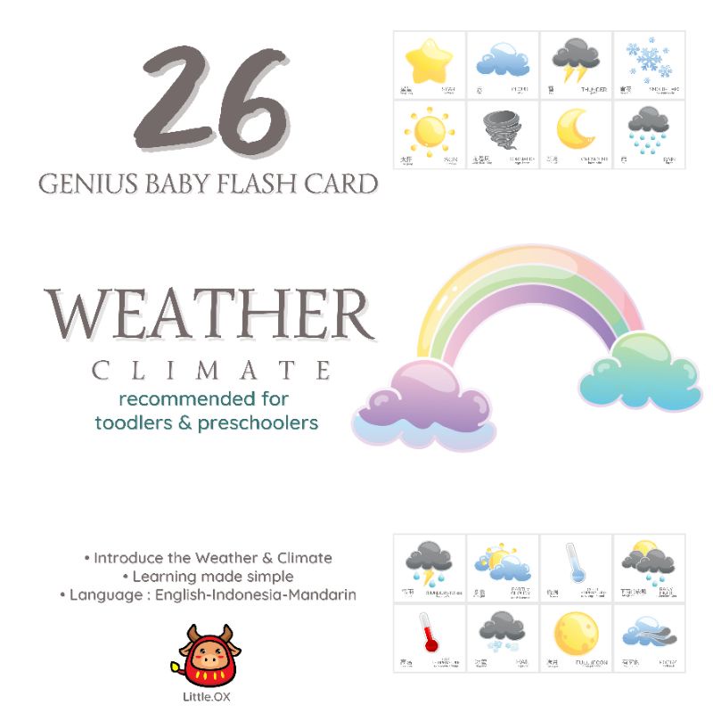 Flash card weather climate cuaca kartu pintar bayi balita toddler anak cuaca dan iklim