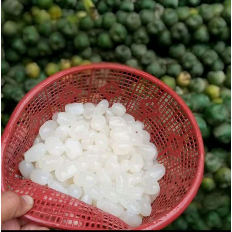 

Kolang Kaling Segar 500gr