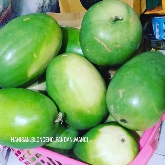 

Buah Kundur Winter Melon Beligo Baligo Blonceng Benincasa Hispida