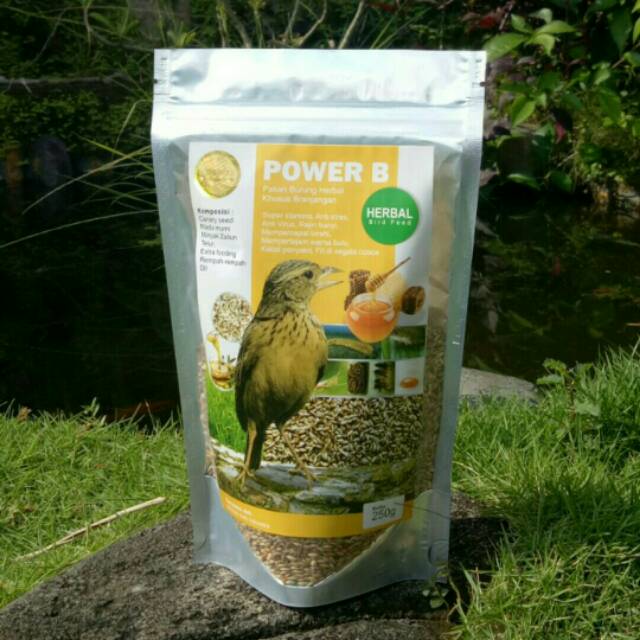 

Power B Pakan Burung Branjangan Gacor