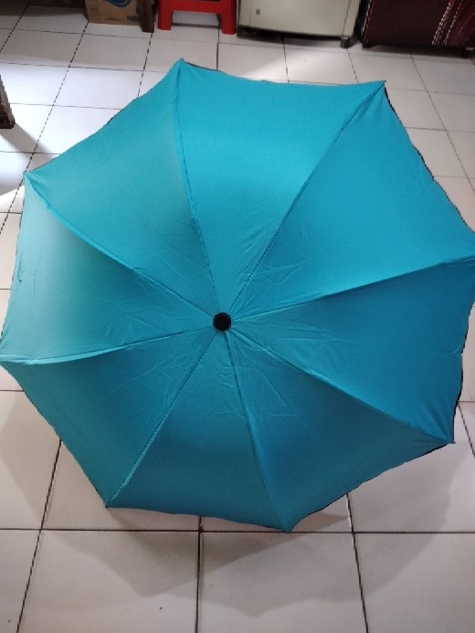 Payung Lipat Magic 3d Muncul Motif P23