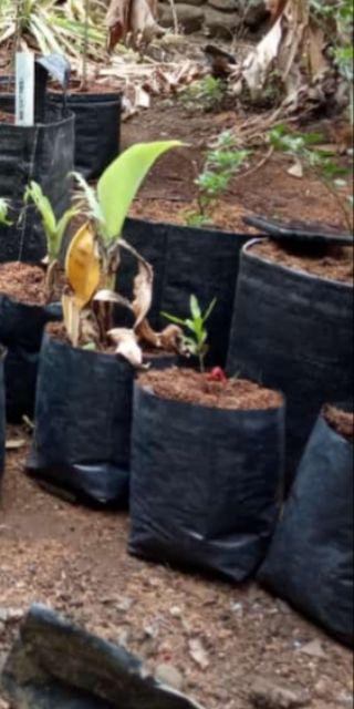 Planter Bag 6 Liter | 20x20