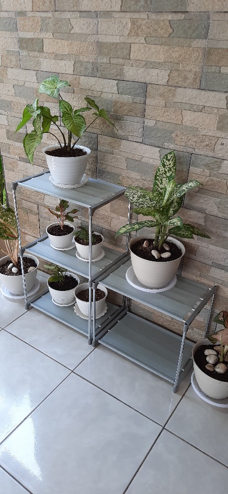 Antracol 10 Gram (repack)