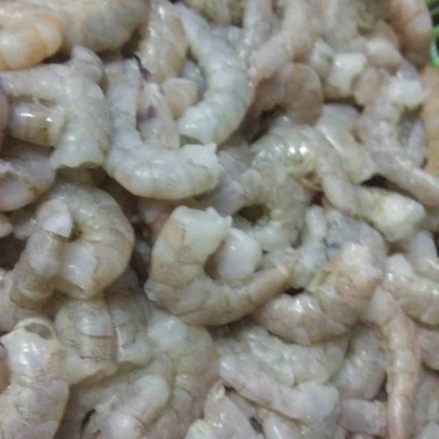 

Udang kupas beku / Frozen shrimp size L 40-50