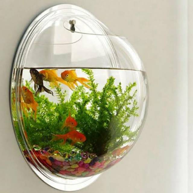99 Dekorasi Aquarium Dinding Terbaru