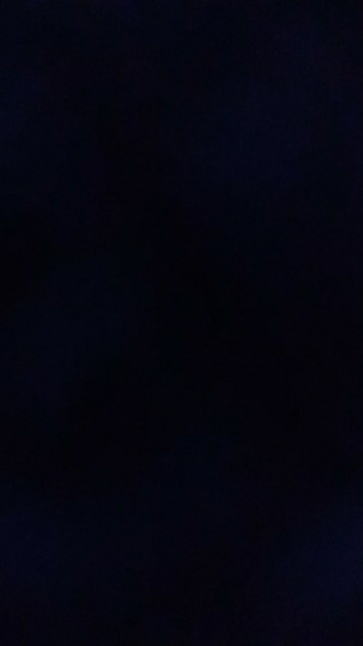 African Violces Bunga Blue Bicollor - Hebat Garden3