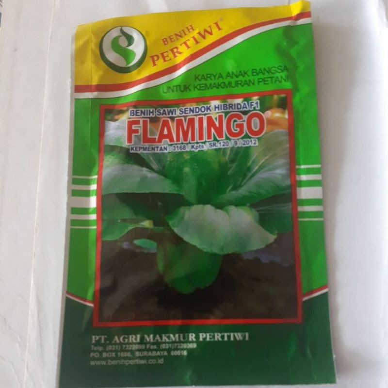 Benih pakcoy Flamingo sawi sendok F1