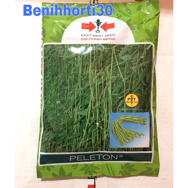 Benih Kacang Panjang Peleton isi 500 gram