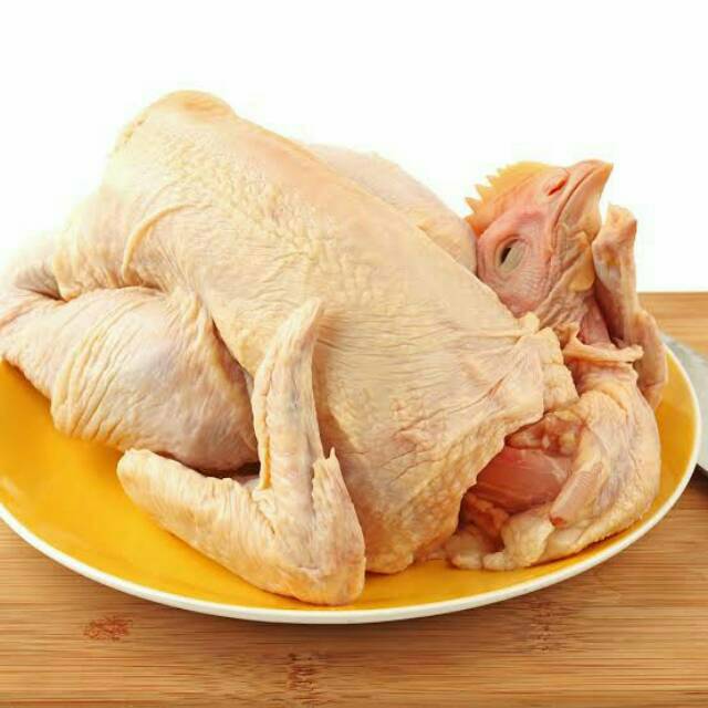 

Ayam Utuh Fresh bukan Frozen / Beku ( 1/2 ekor atau 1 ekor)