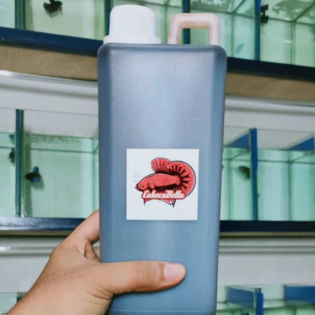 

THE REAL EKSTRAK KETAPANG 1 LITER