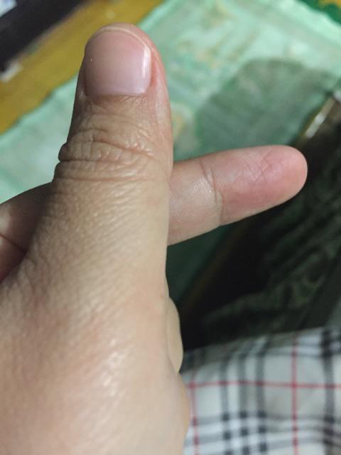 Cetakan Kue Kering Kastengel Cookies Paket Lengkap 5pcs Bulan, Bintang, Bunga, Kotak, Love