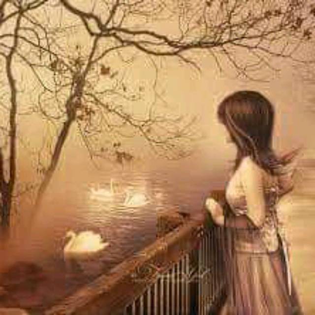 sugiyartosugiyarto65