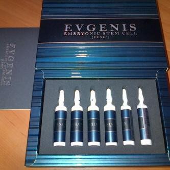 Evgenis Embryonic Stem Cell