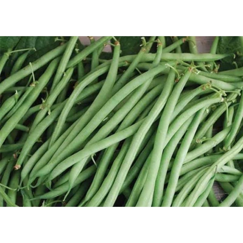 

buncis fresh/sayur buncis 500gram