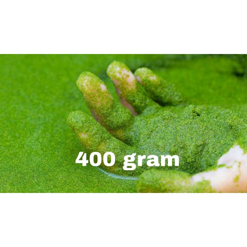 bibit wolfia tanaman air wolffia 400gr pakan wolfia azolla