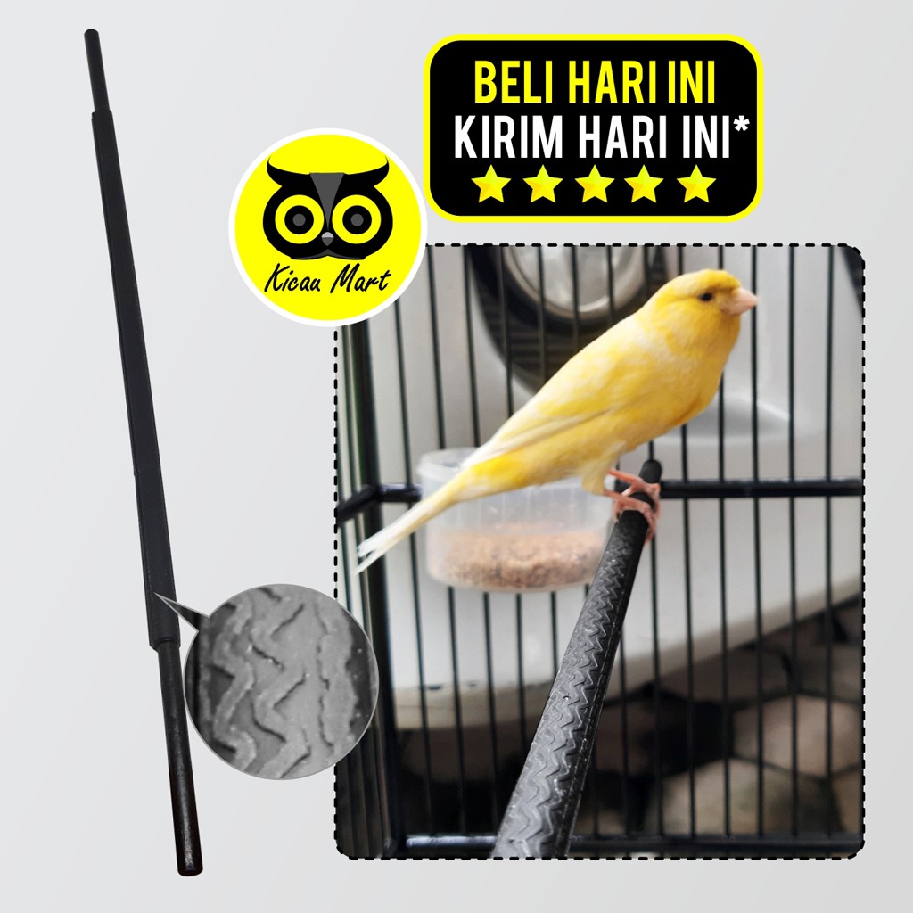 TANGKRINGAN SETAN TANGSET VIRAL KAYU HITAM KARET UNTUK SANGKAR KANDANG BURUNG KENARI TKARKN