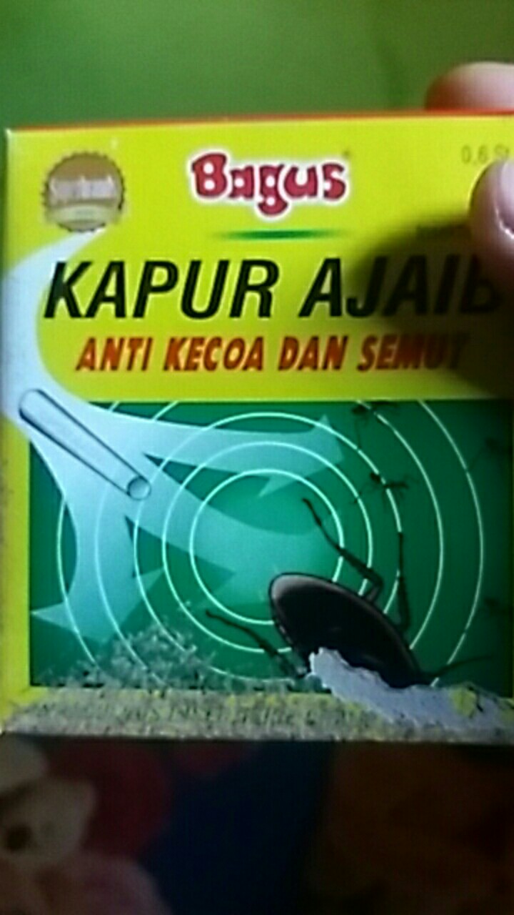 Isi 1 Lusin Kapur Ajaib Bagus - Kapur Ajaib - Kapur Semut - Kapur Kecoak
