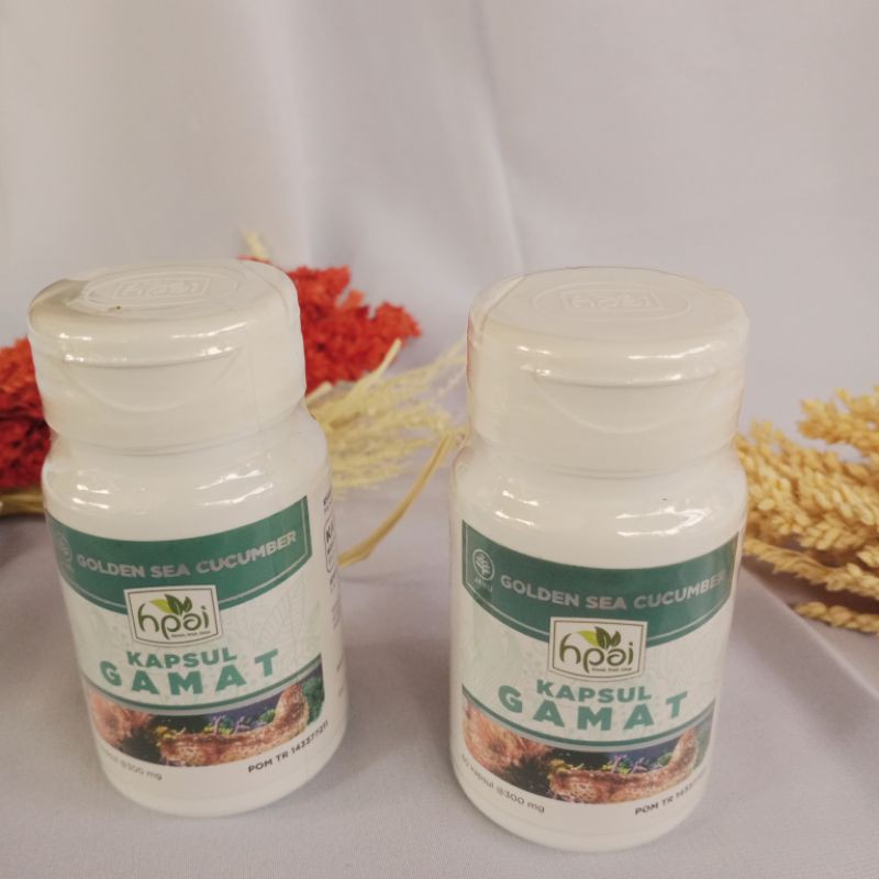 gamat kapsul hpai hni