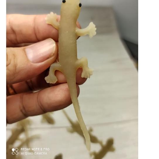 mainan karet cicak panjang mirip asli 팝