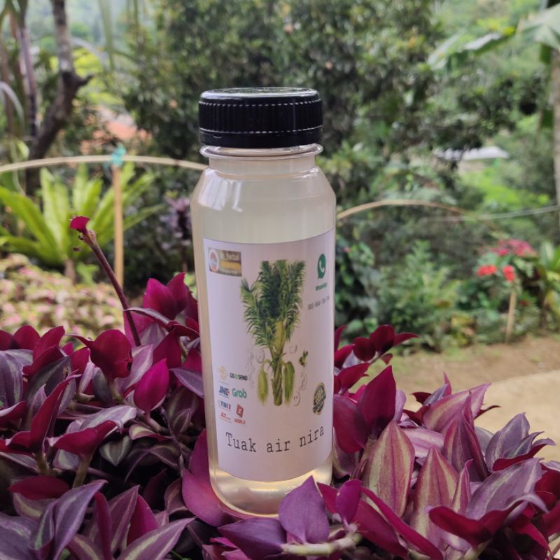 

Jual air nira segar manis 250ml original
