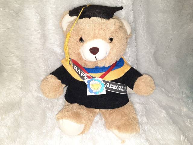 boneka wisuda/boneka ultah/ boneka sidang