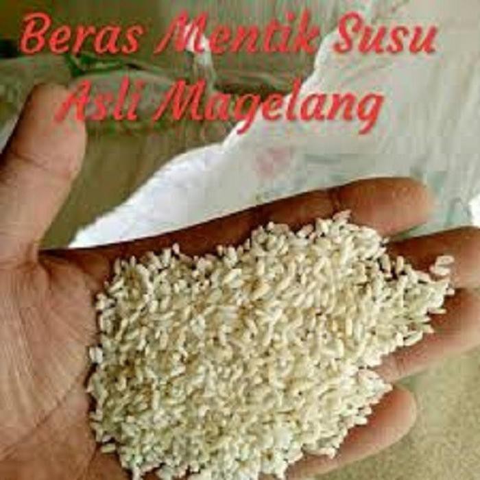 

Beras Sehat Mentik Wangi Susu Organik Premium Beras Diet 5 kg