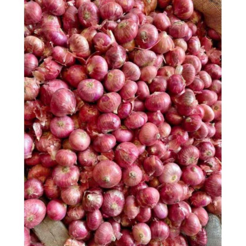 

BAWANG IMPORT/BAWANG INDIA JUAL 1Kg