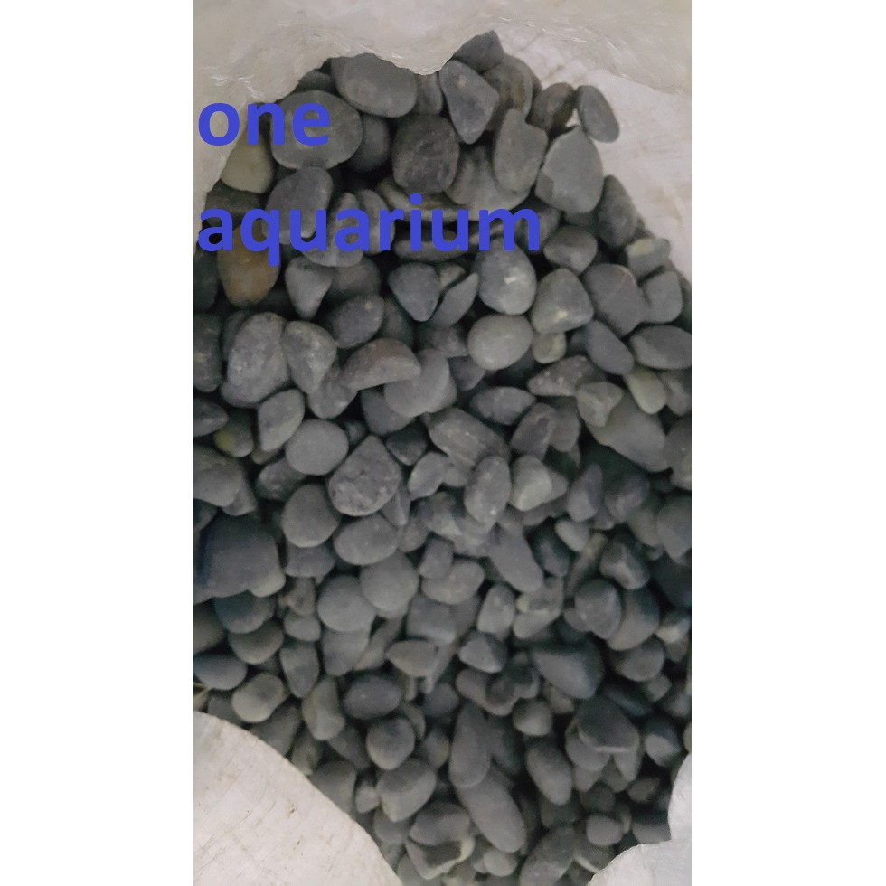 batu koral bengkulu ukuran kecil 1kg aquascape