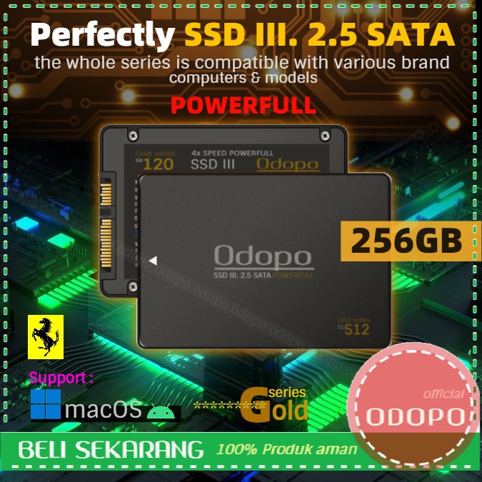 SSD 256GB SATA 3 - ODOPO ( bukan 120gb,128gb,240gb,480gb,512gb,1tb )