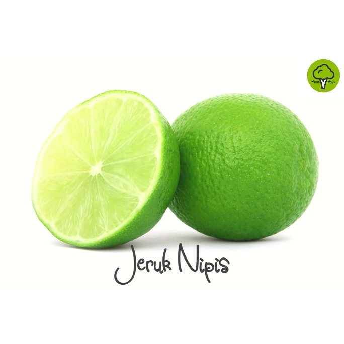 

BUAH JERUK NIPIS [250GR]