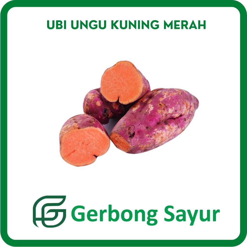 

Ubi Ungu Kuning Merah - Ubi Merah Segar - 1 Kg