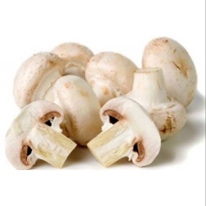 

Jamur Kancing Putih / Champignon Fresh 250 gram